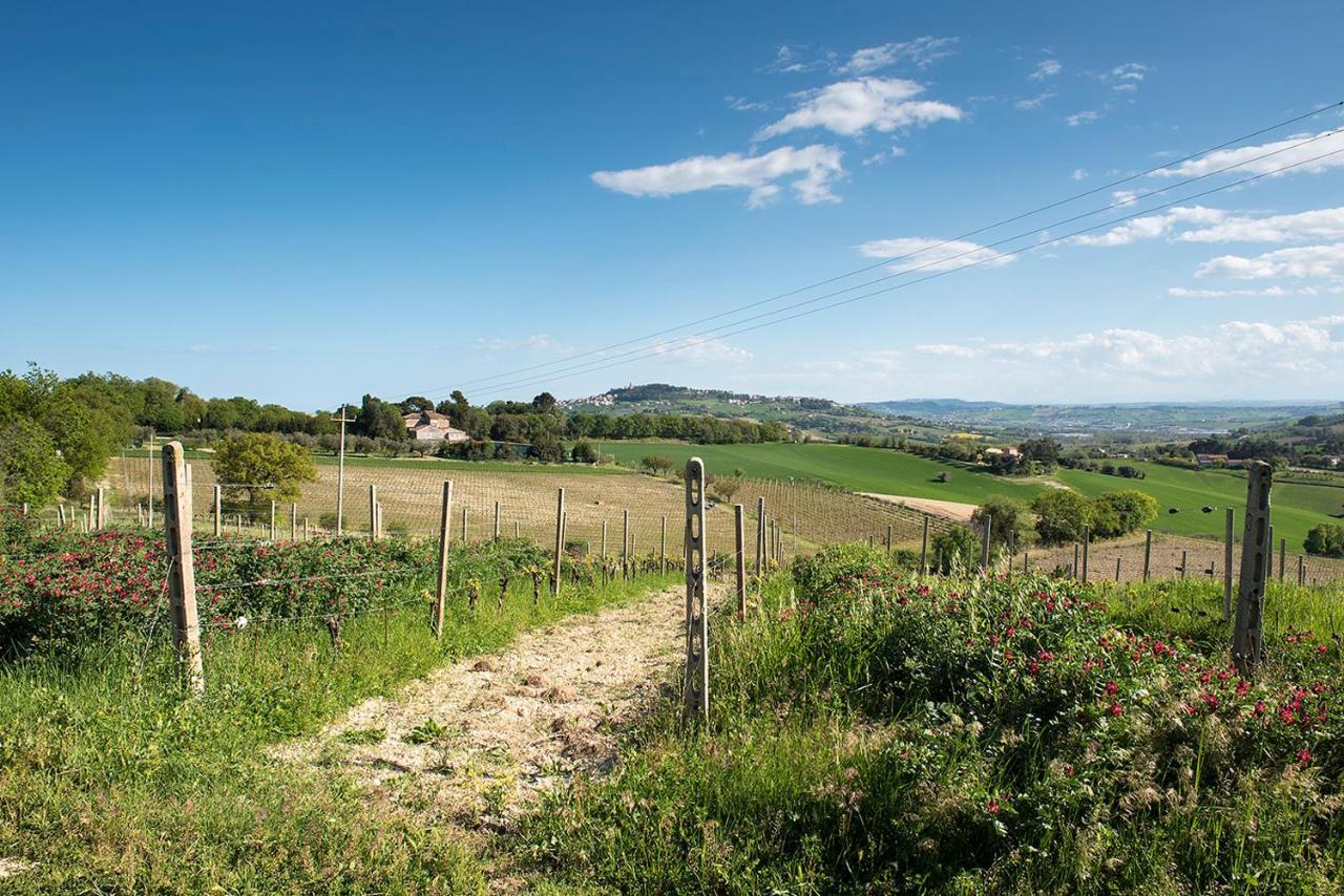 A11 - Varano, Delizioso Trilocale Con Giardino Ankona Zewnętrze zdjęcie