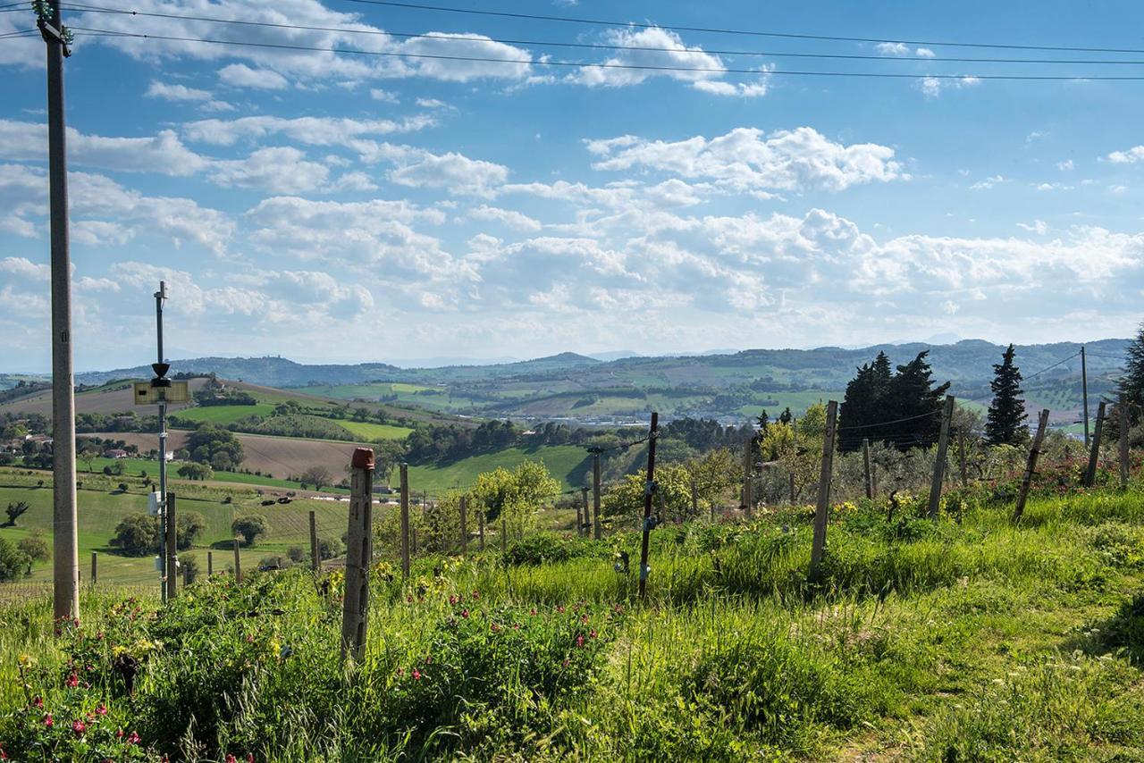 A11 - Varano, Delizioso Trilocale Con Giardino Ankona Zewnętrze zdjęcie
